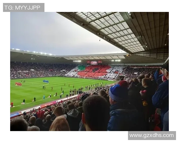 德国足球明星熊猫的传奇故事与绿茵场上的精彩瞬间